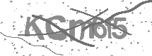 visual captcha